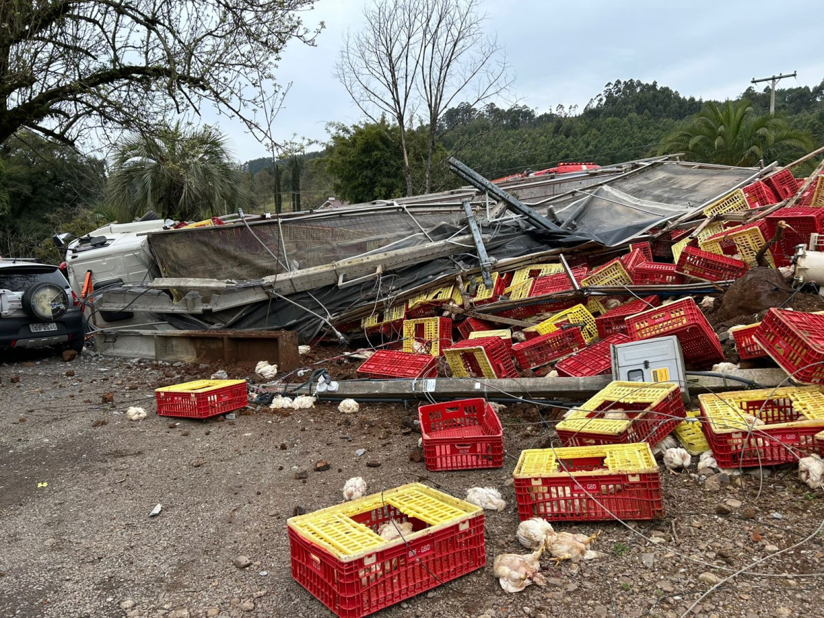 Trnsito - Caminho carregado de frangos vivos tomba na BR-470, em Baro Velho