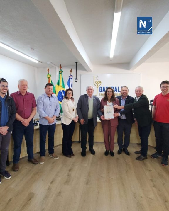 DENISE PESS�A, DEPUTADA FEDERAL, PT/RS, ESTEVE EM GARIBALDI, NO LEGISLATIVO, RECENTEMENTE