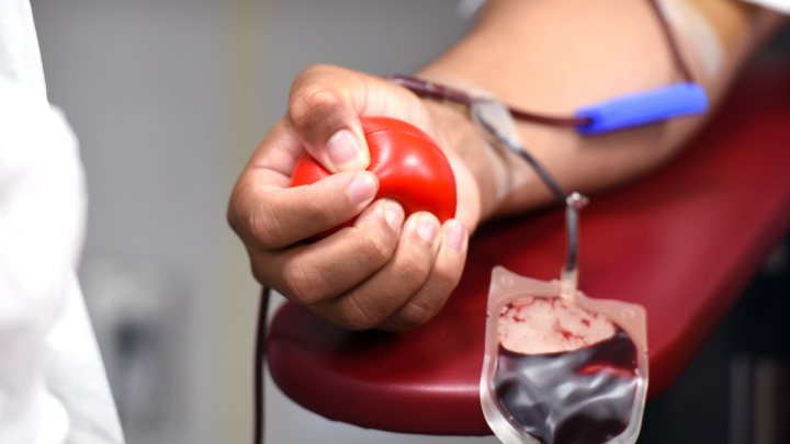Doe sangue, doe vida. 