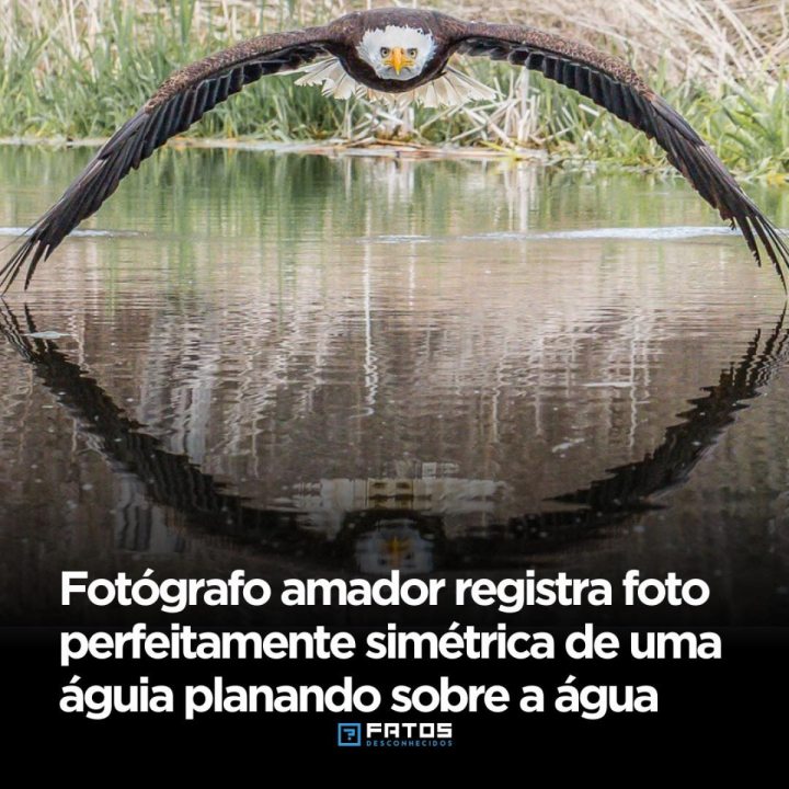 Em maio de 2019, o fotógrafo amador canadense Steve Biro capturou uma imagem impressionante