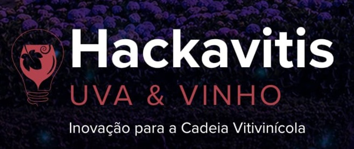 Apeme - Garibaldi: Hackavitis busca solu��es para desafios reais do setor vitivin�cola