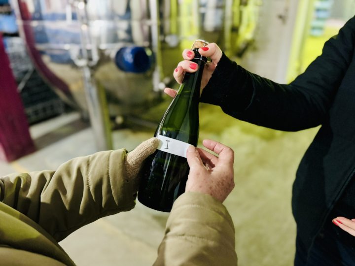 Melhores Vinhos, Espumantes e Sucos de Uva de Garibaldi