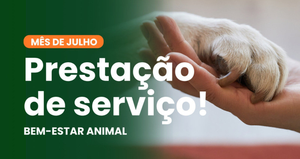 Garibaldi -  Departamento de Bem-Estar Animal divulga dados do m�s de julho